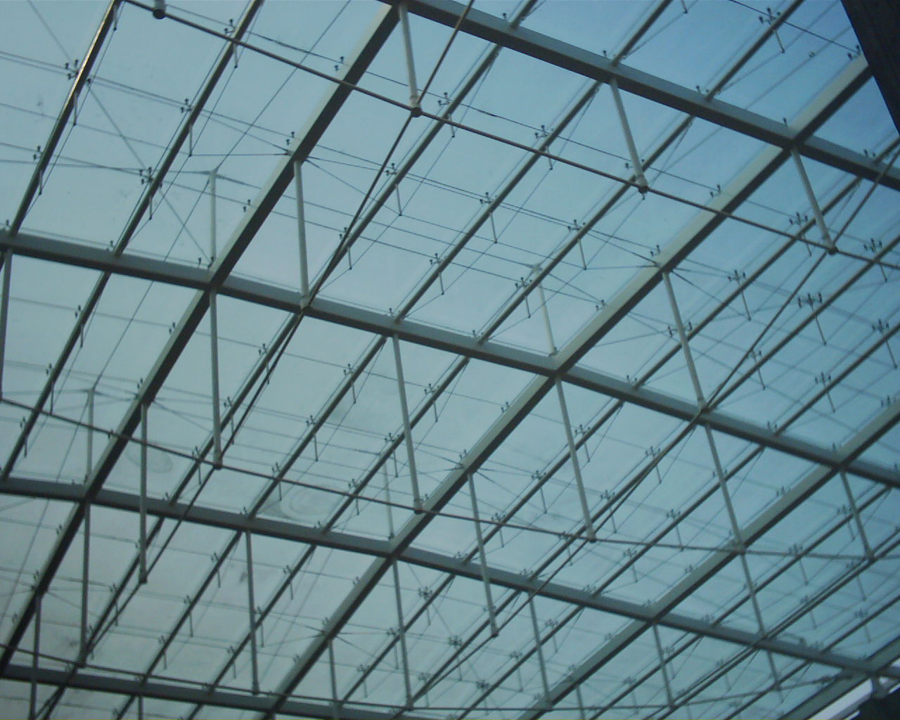 浙江大学图书馆信息楼采光玻璃顶（2002年合作设计）